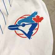 F- Vintage '93 Toronto Blue Jays Looney Tunes Tasmanian Devil Jersey