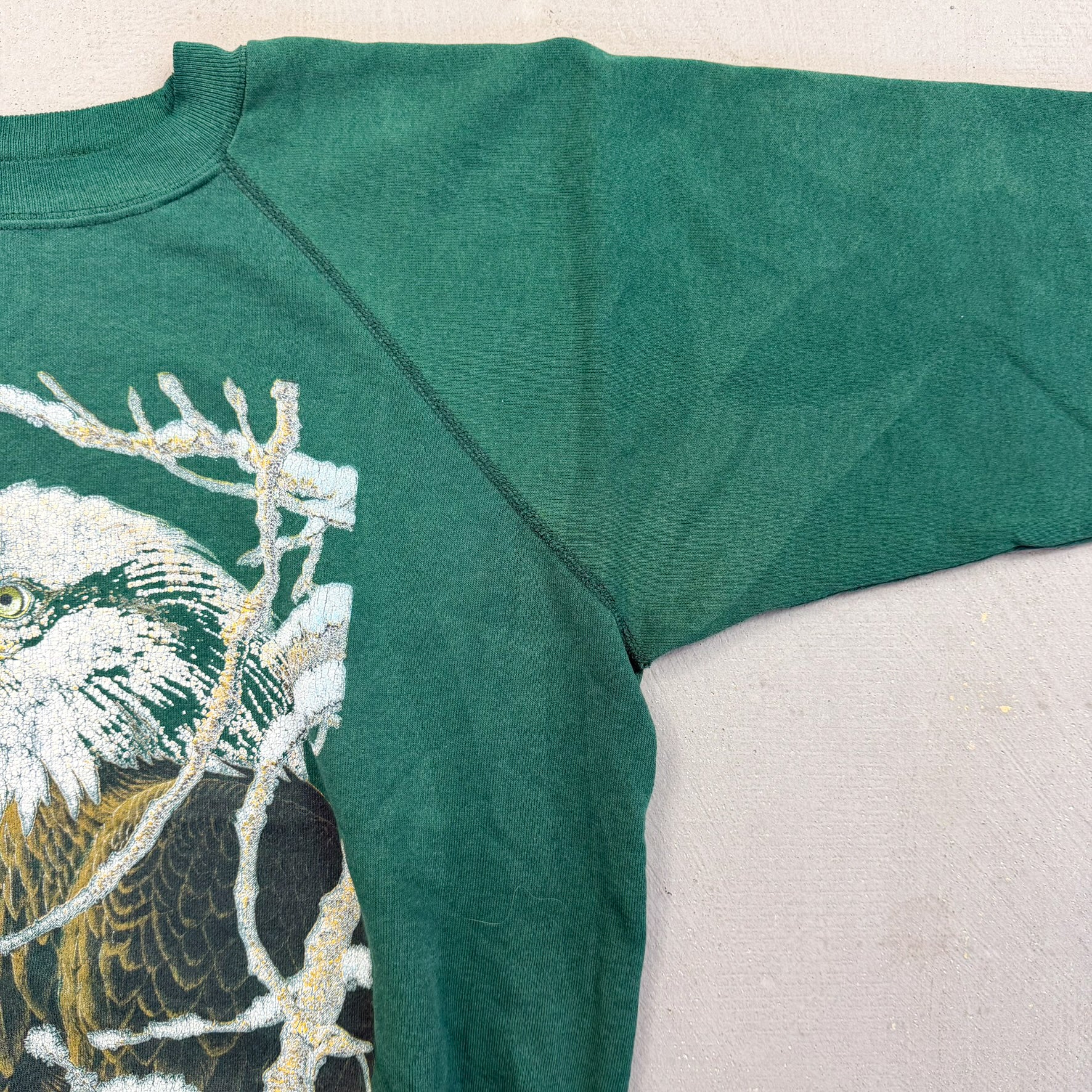 F- Vintage '93 Eagle Print Hanes Active Tag Made In USA Crewneck