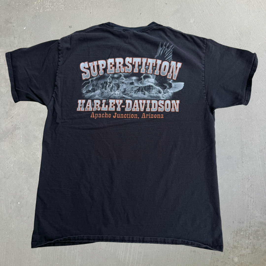 J- Vintage '12 Harley Davidson Apache Junction Arizona Graphic Tee - L