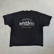 J-  Vintage '10 Harley Davidson Medicine Hat Canada Graphic Tee - 3XL