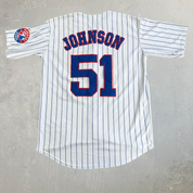 Vintage Montreal Expos Randy Johnson MLB Mitchell & Ness Baseball Jersey - 44 (fits L)
