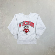 F- Vintage 90s Champion Reverse Weave Wisconsin Badger Made In USA Crewneck