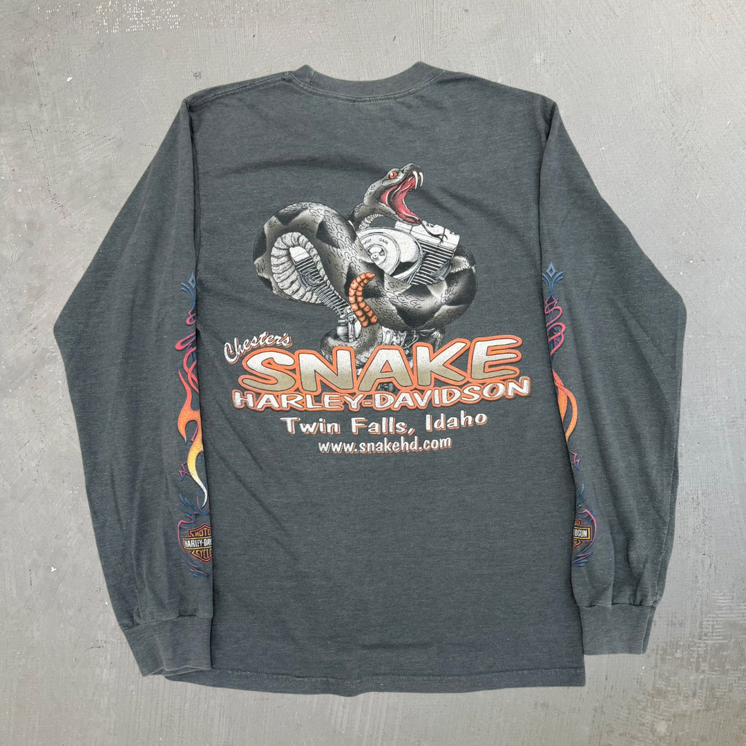 J- Vintage '10 Harley Davidson Twin Falls Idaho Snake Graphic Long Sleeve Tee - S