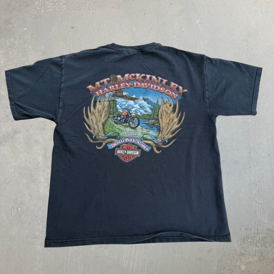 J- Vintage Harley Davidson Denali Park Alaska Graphic Tee - L