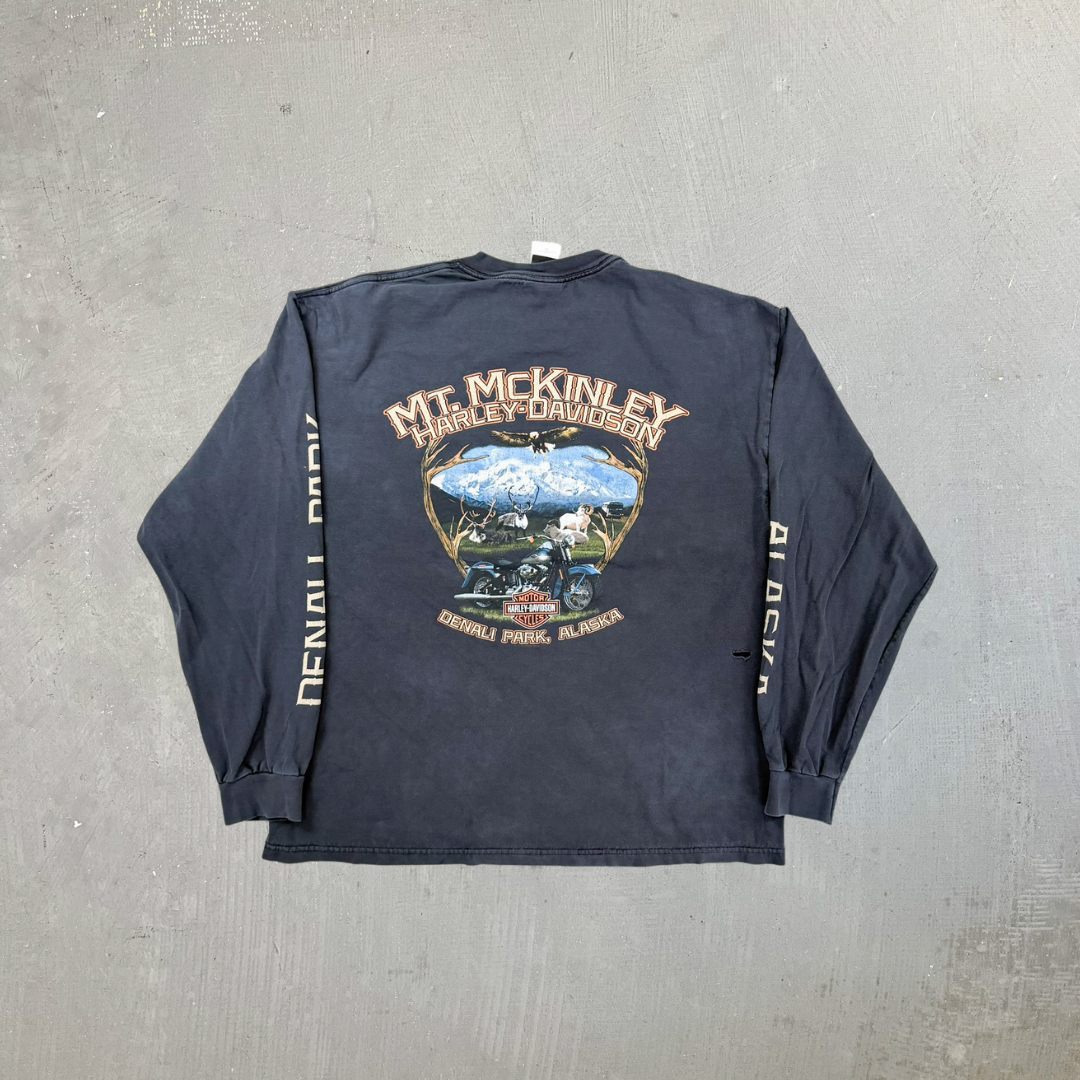 F- Harley Davidson Denali Park Alaska Graphic Long Sleeve Tee