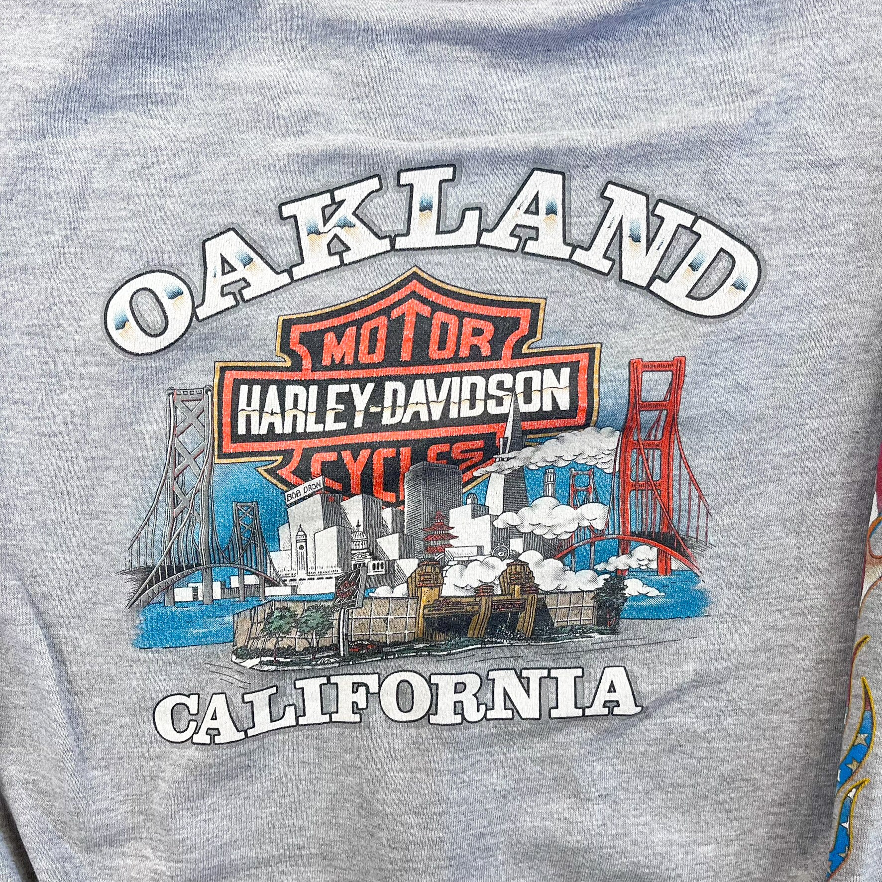 F- Vintage '01 Harley Davidson Oakland Flames Sleeves Zip Up Hoodie