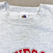 F- Vintage '92 NFL Super Bowl 26 Minnesota Graphic Crewneck
