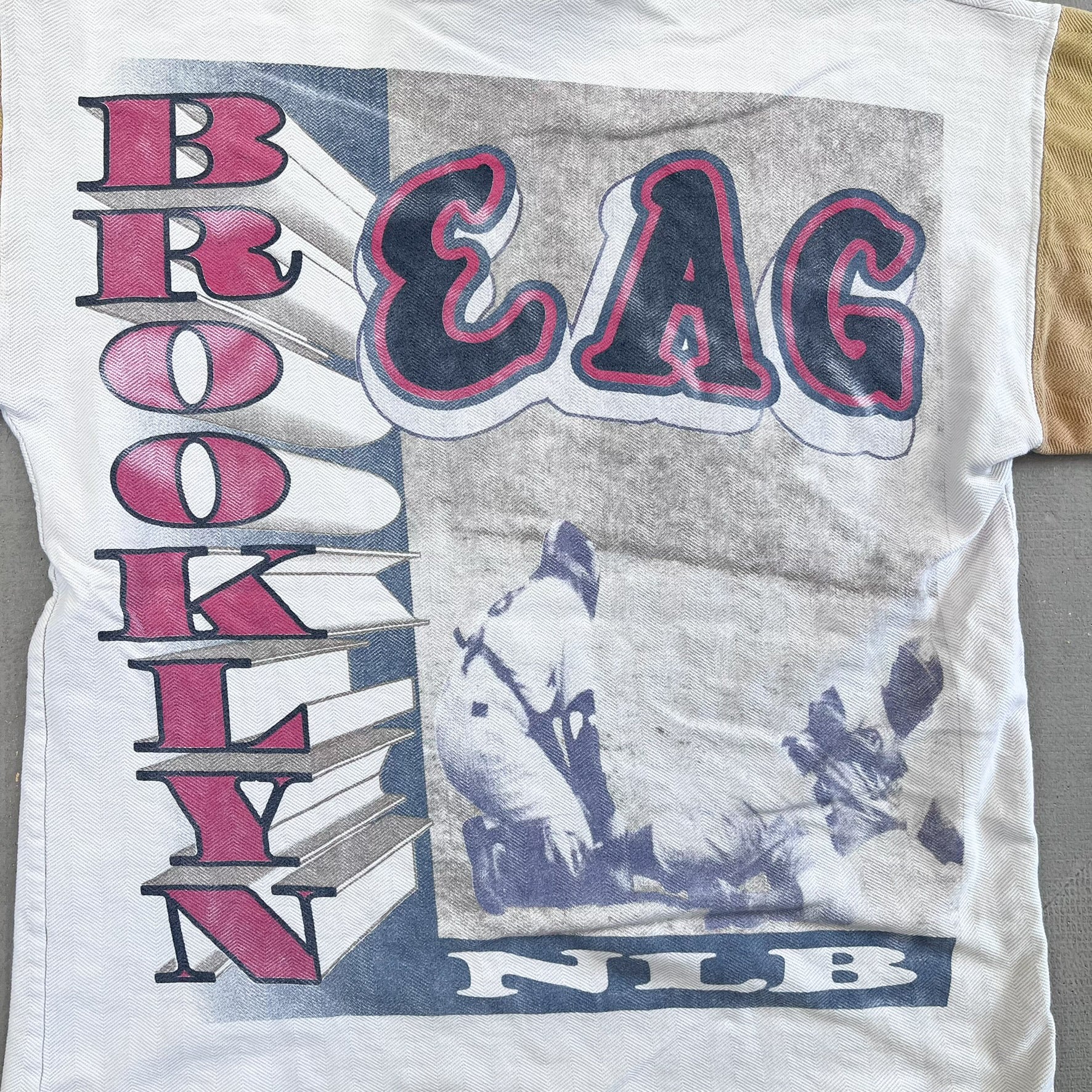 F- Vintage New York Eagles Negro League Baseball Heavy Tee