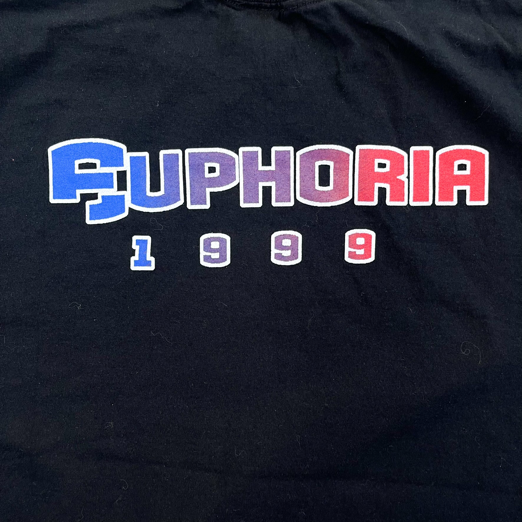 F- Vintage '99 Def Leppard Euphoria Tour Picture Tee