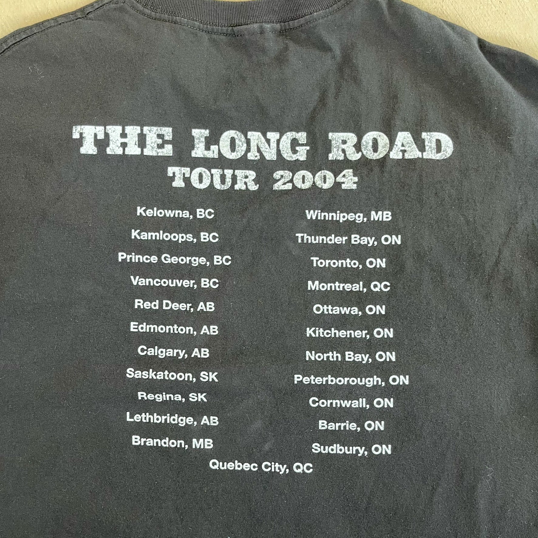 F- Vintage '04 Nickelback The Long Road Tour Picture Tee