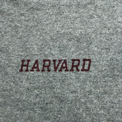 J- Vintage 80s Harvard Logo Champion Made In USA Single Stitch Tee - XL