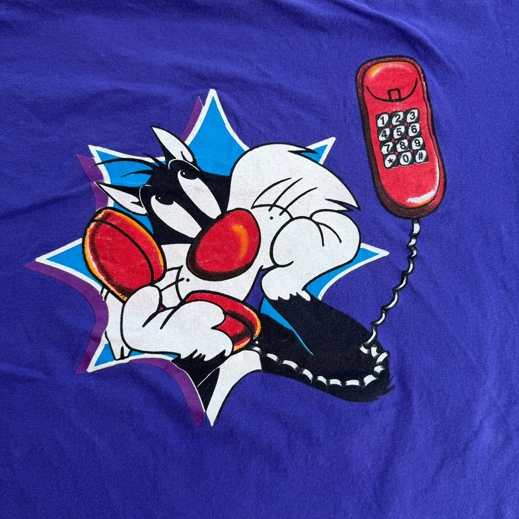 J- Vintage '98 Looney Tunes Tweety Bird Are You Talking To Me? Graphic Tee - 18w/20w