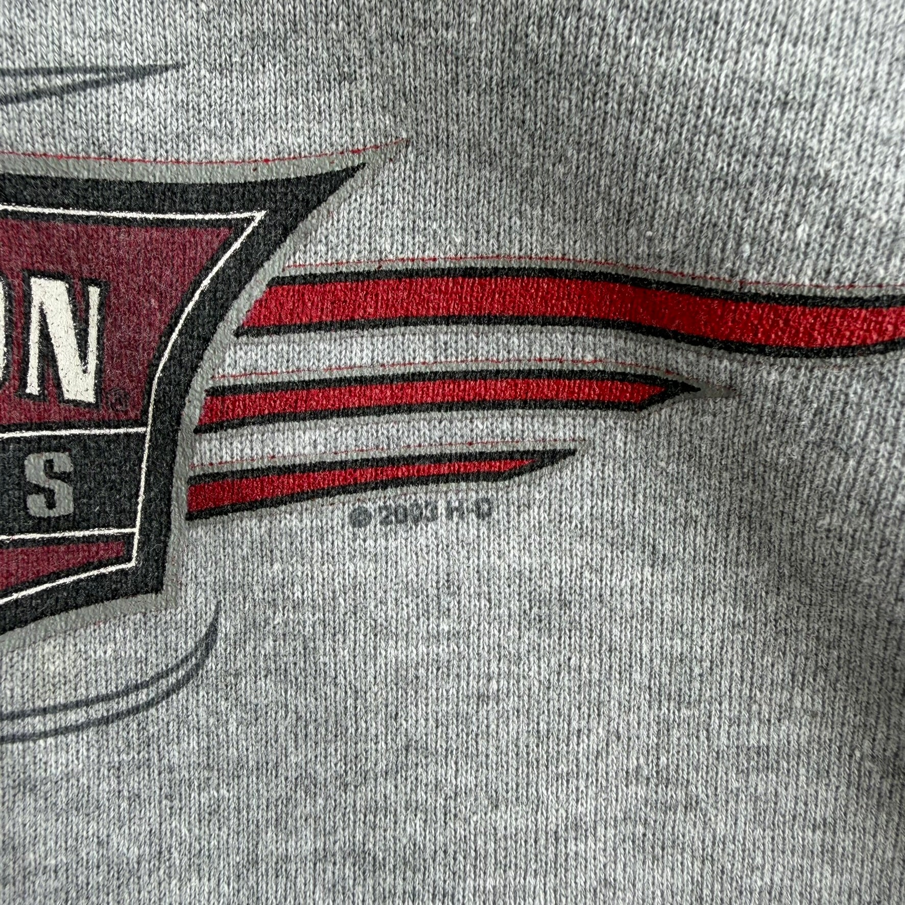 J- Vintage '03 Harley Davidson Auburn California Graphic Hoodie - XL