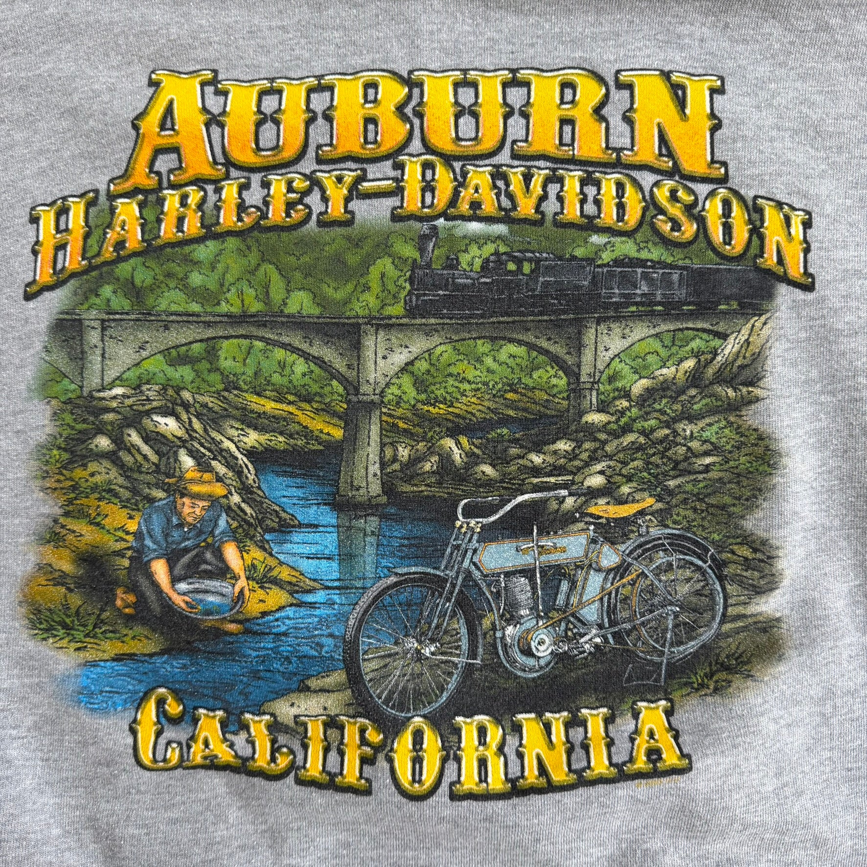 J- Vintage '03 Harley Davidson Auburn California Graphic Hoodie - XL