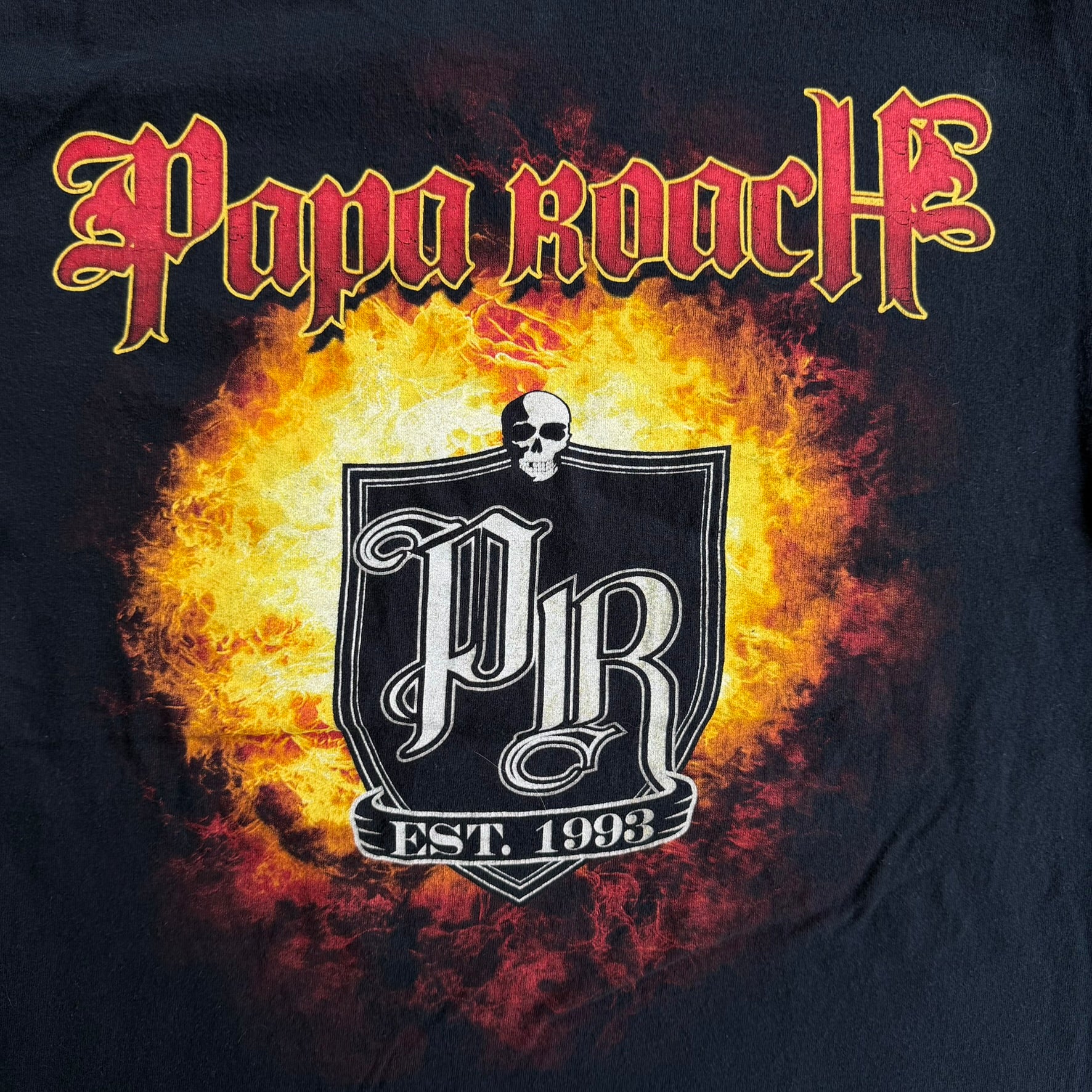 J- Vintage '10 Papa Roach Picture & Graphic Tee - M