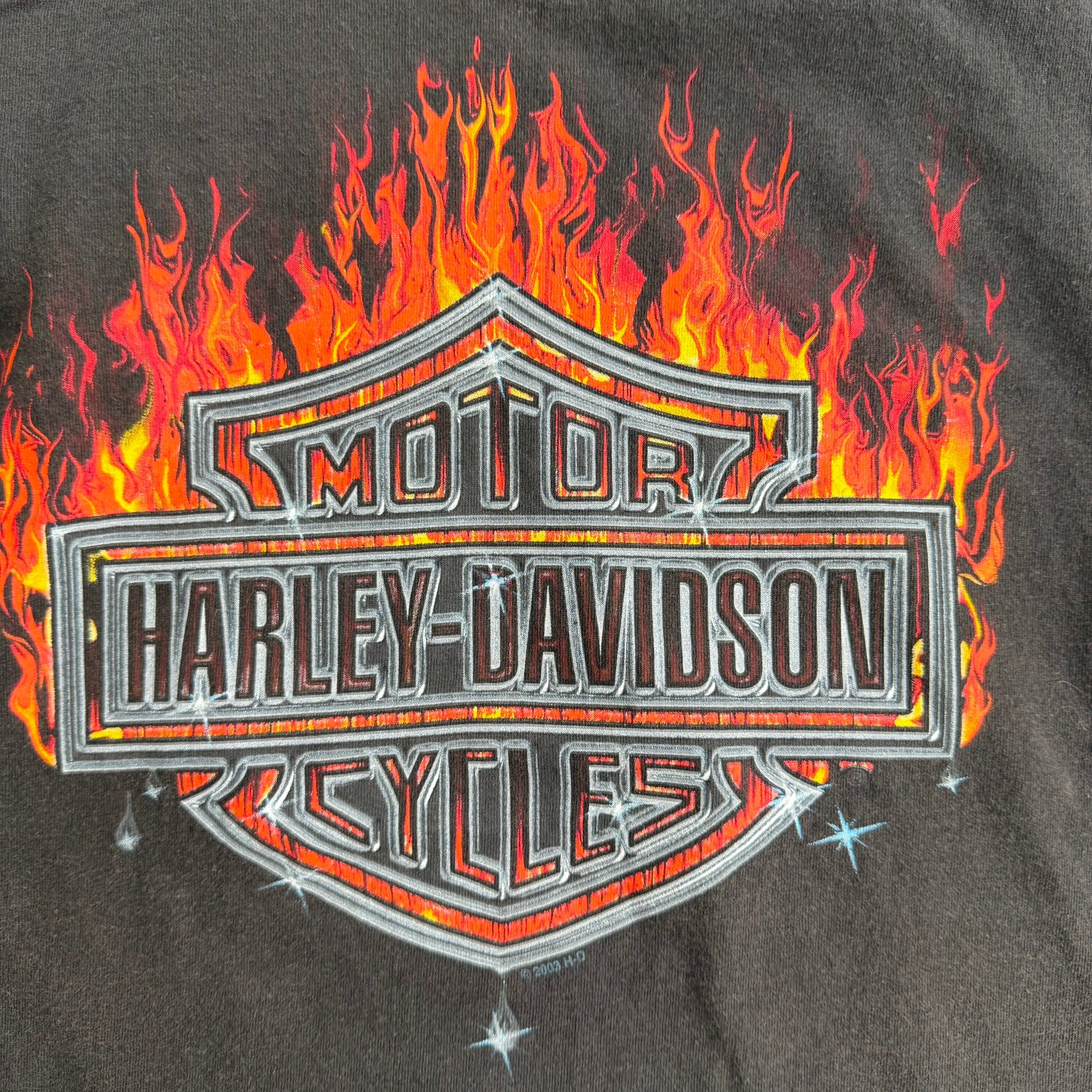 J- Vintage '03 Harley Davidson Saskatoon Saskatchewan Made In USA Single Stitch Tank Top - L