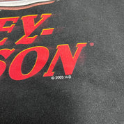 F- Vintage 2003 Harley Davidson Wichita Kansas Graphic Tee
