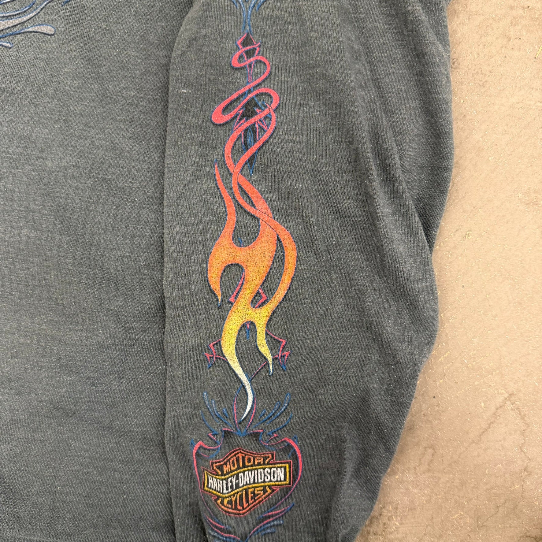 J- Vintage '10 Harley Davidson Twin Falls Idaho Snake Graphic Long Sleeve Tee - S