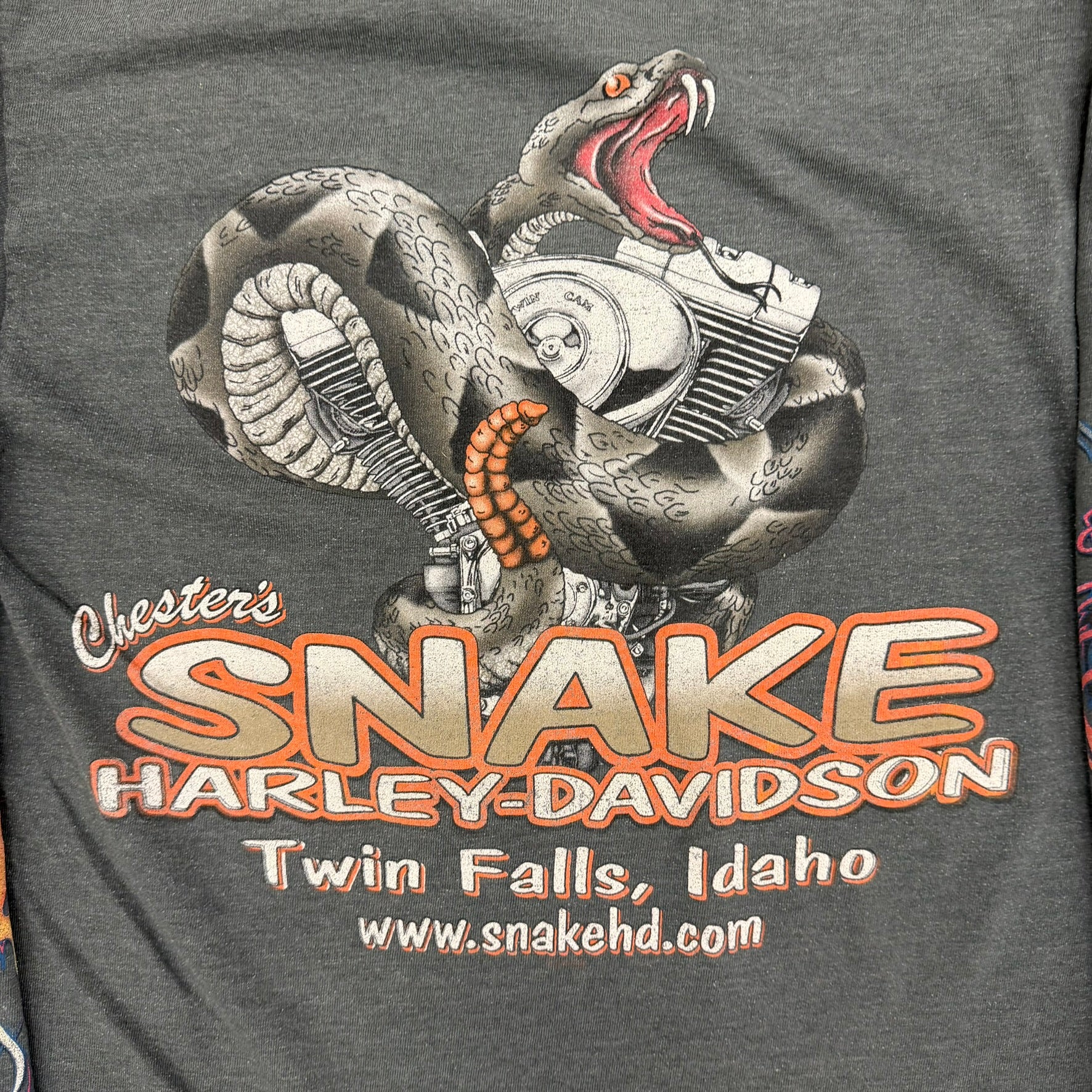 J- Vintage '10 Harley Davidson Twin Falls Idaho Snake Graphic Long Sleeve Tee - S