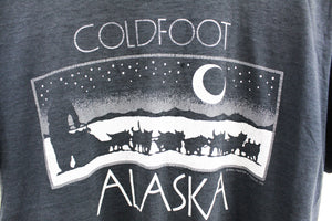Vintage Single Stitch 1990 Coldfoot Alaska Graphic Tee
