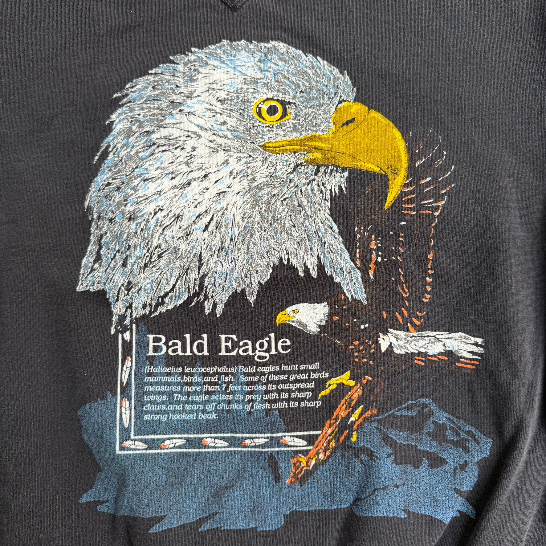 J- Vintage Bald Eagle Graphic & Text Made In USA Crewneck - M