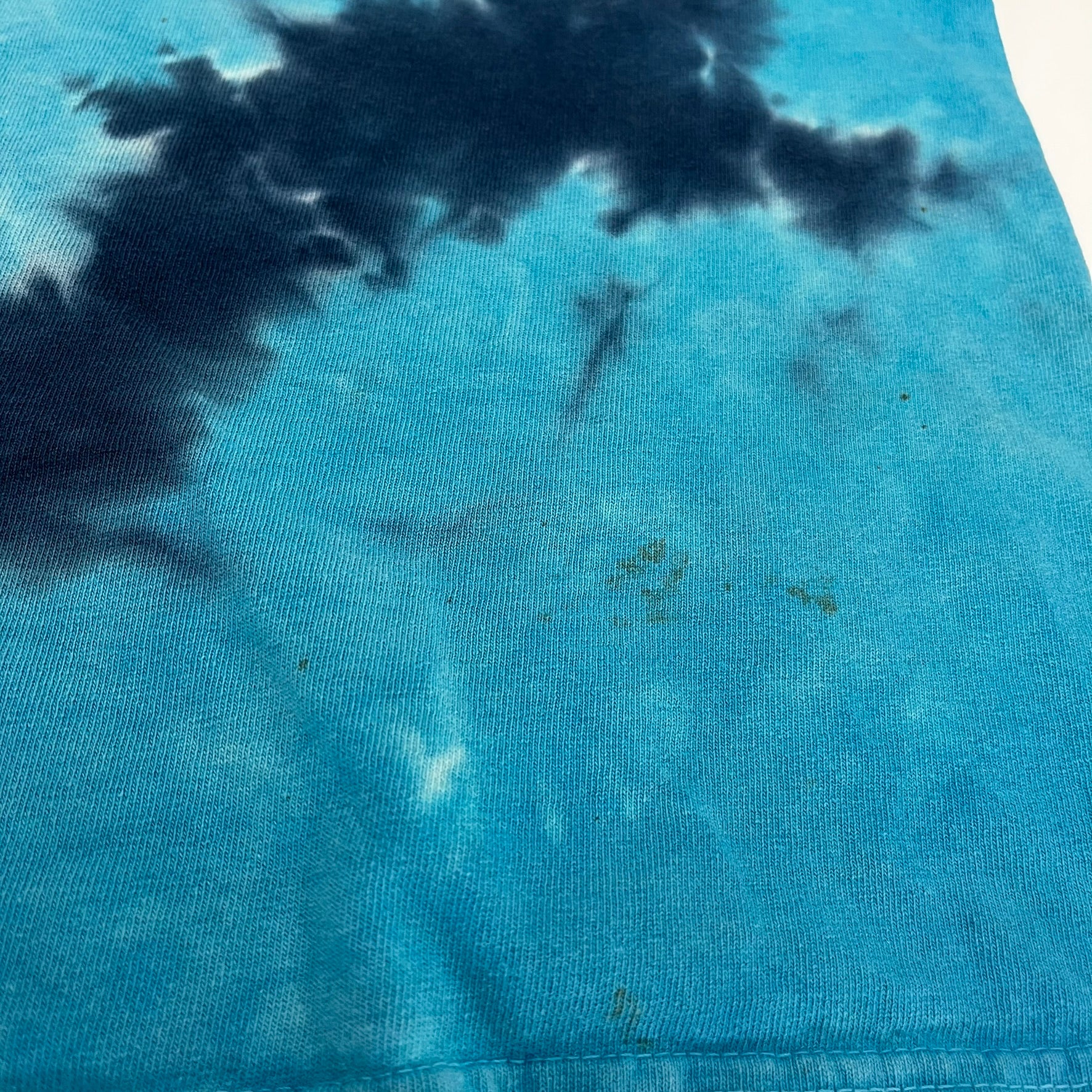 F- Vintage Disneyland Resort Grizzly River Run Graphic Tie Dye Tee