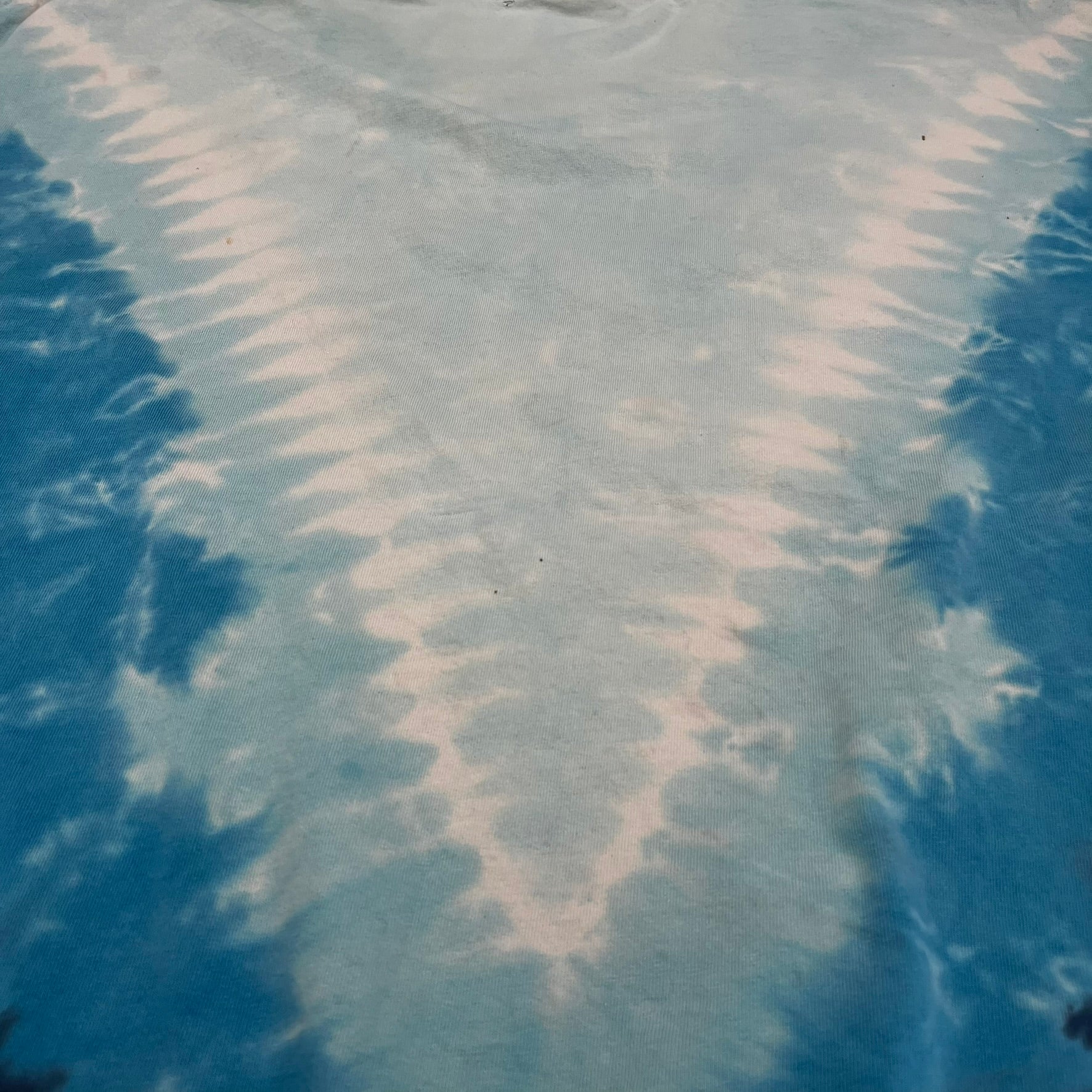 F- Vintage Disneyland Resort Grizzly River Run Graphic Tie Dye Tee