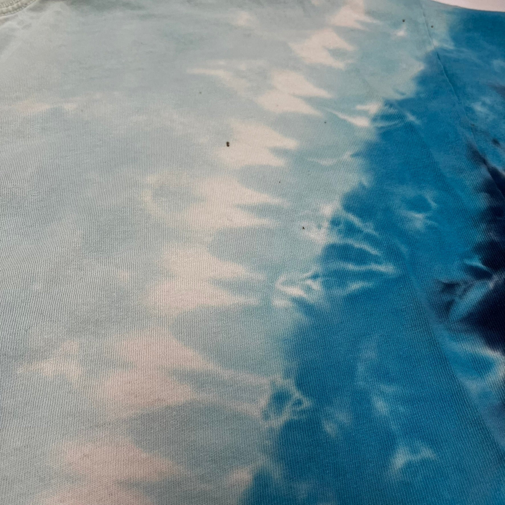 F- Vintage Disneyland Resort Grizzly River Run Graphic Tie Dye Tee