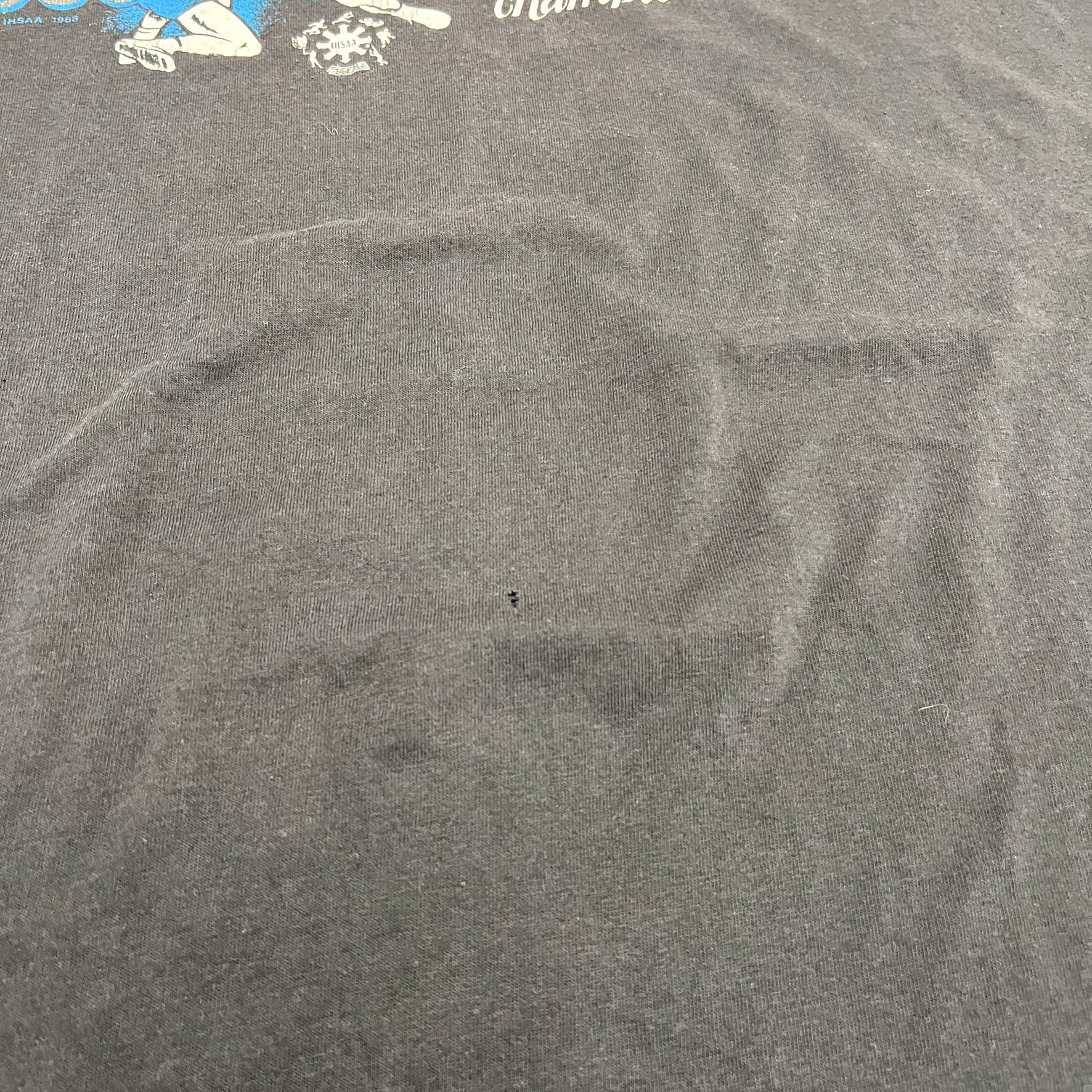 F- Vintage 1988 Idaho Wrestling Championship Single Stitch Hanes 50/50 Tee