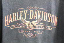 Load image into Gallery viewer, 2008 Harley Davidson New Mexico Tee
