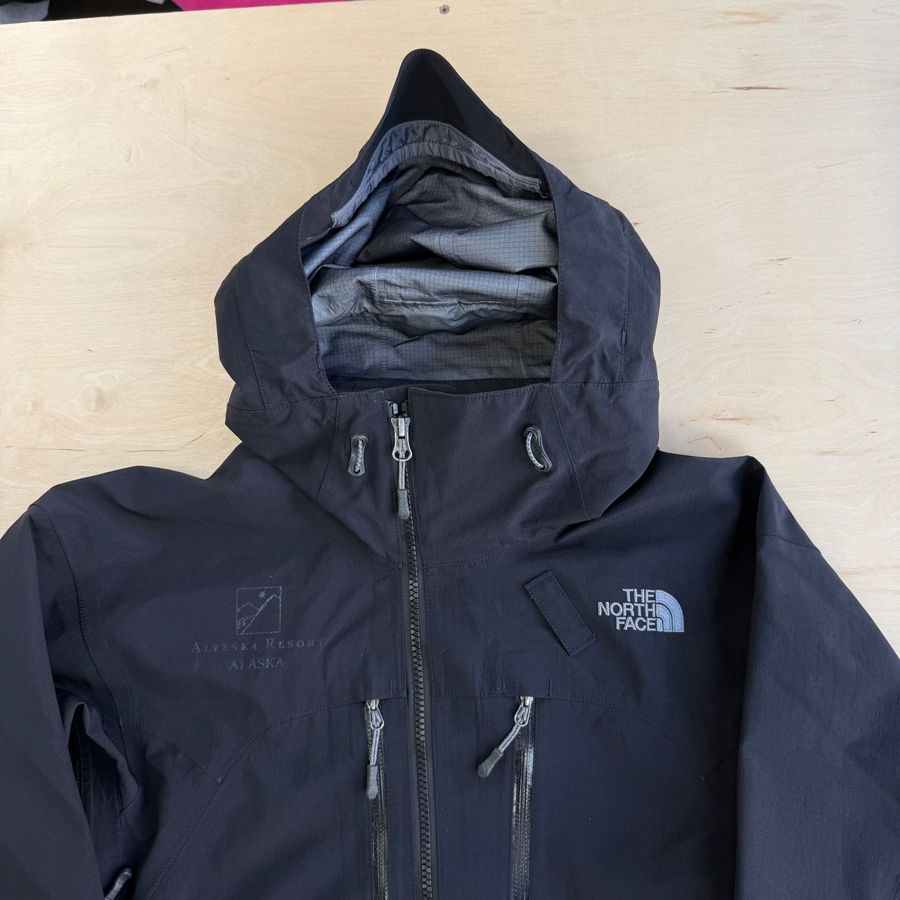Vintage The North Face Free Thinker Gore-Tex Pro Winter Jacket - S