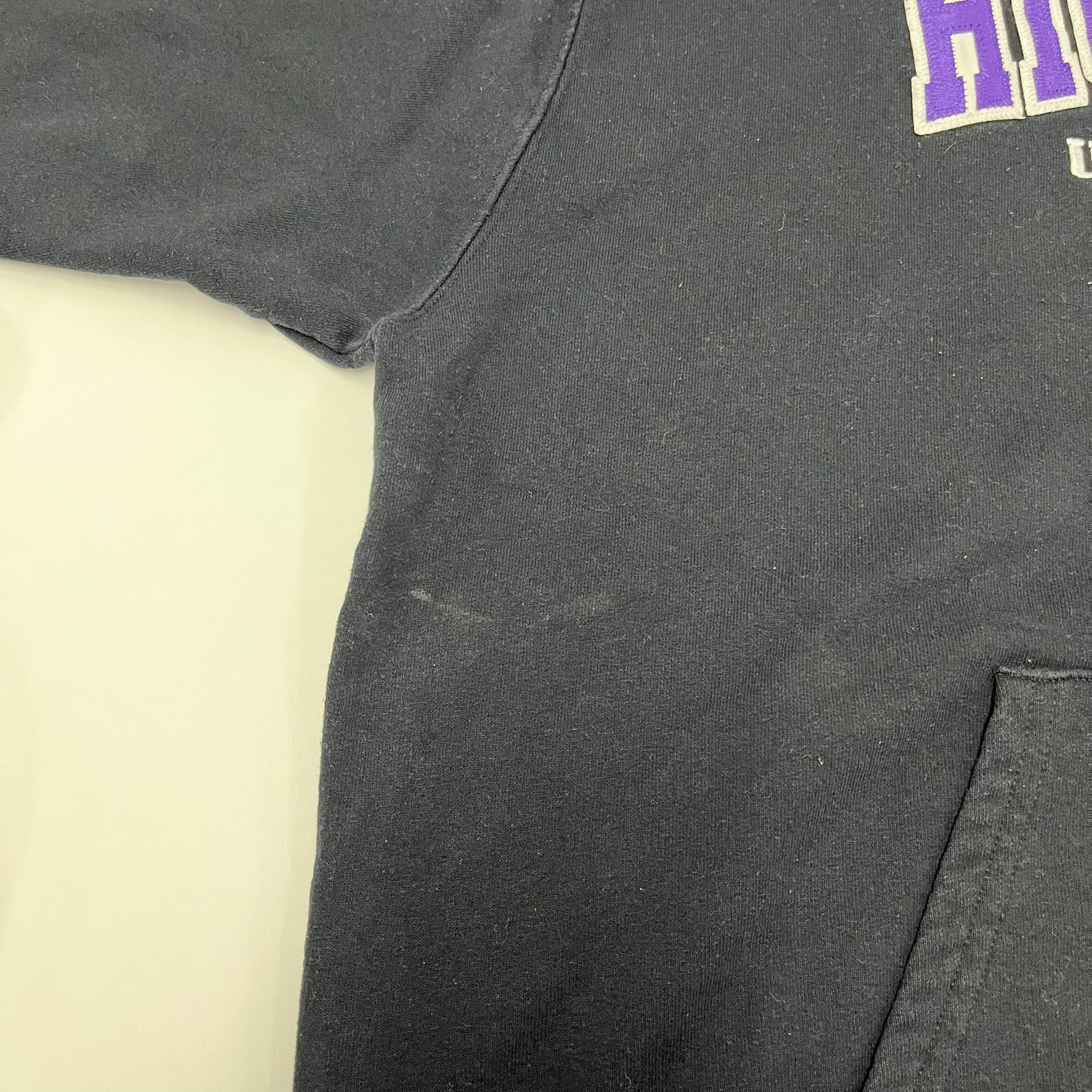F- Vintage Champion High Point University Embroidered Text Hoodie