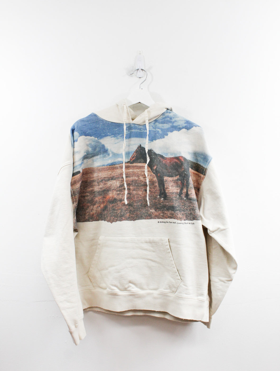 Horse Picture Hoodie