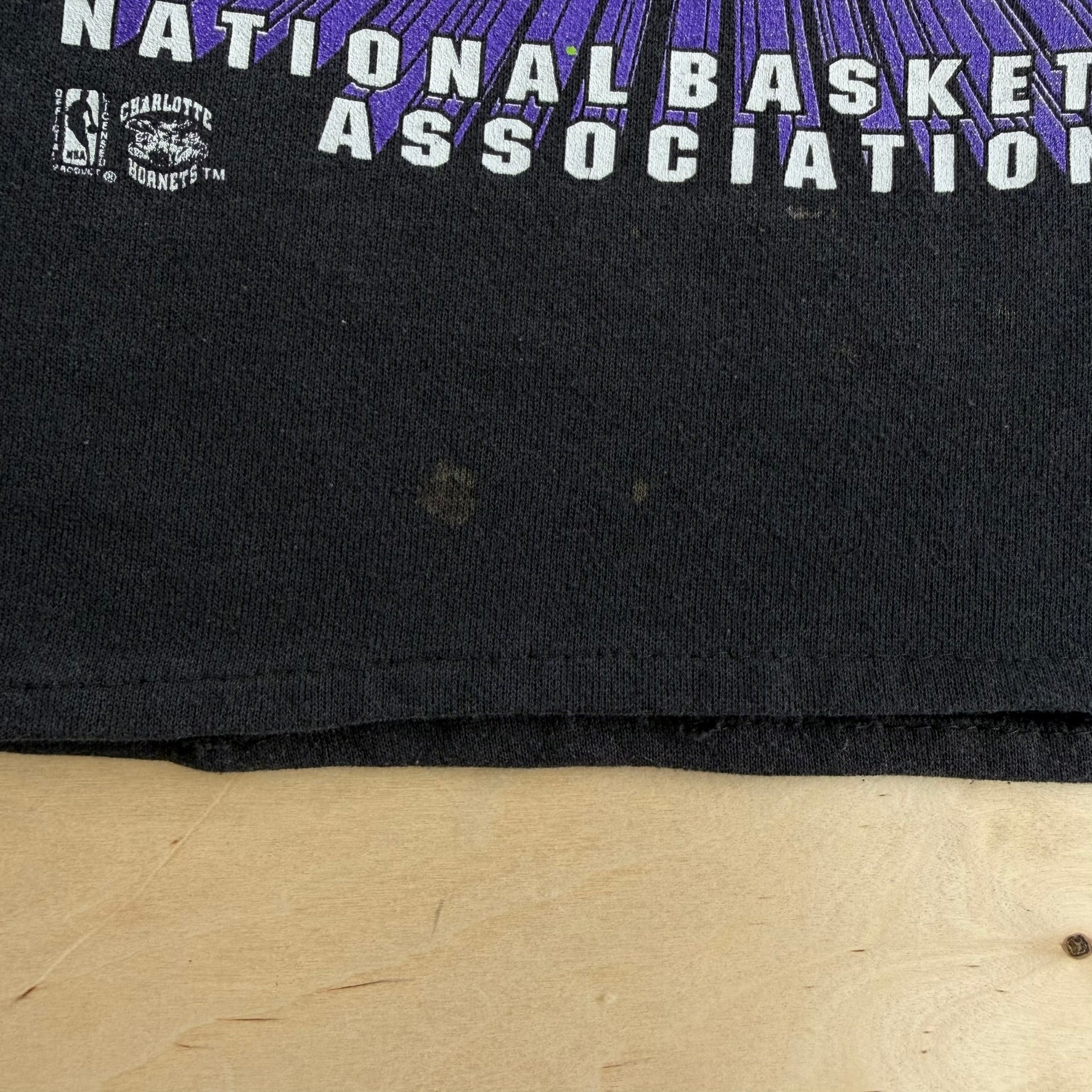 J- Vintage Charlotte Hornets NBA Logo & Text Made In USA Cropped Crewneck - L