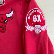 J- Vintage Chicago Bulls NBA Mitchell & Ness 96 Finals Embroidered Graphic Hoodie - L