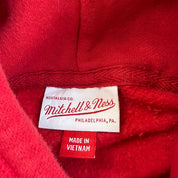 J- Vintage Chicago Bulls NBA Mitchell & Ness 96 Finals Embroidered Graphic Hoodie - L