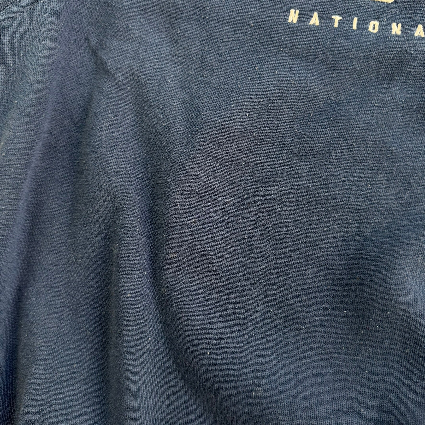 Vintage Tennessee Titans NFL Lee Embroidered Text & Logo Crewneck - L