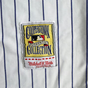 Vintage Montreal Expos Randy Johnson MLB Mitchell & Ness Baseball Jersey - 44 (fits L)