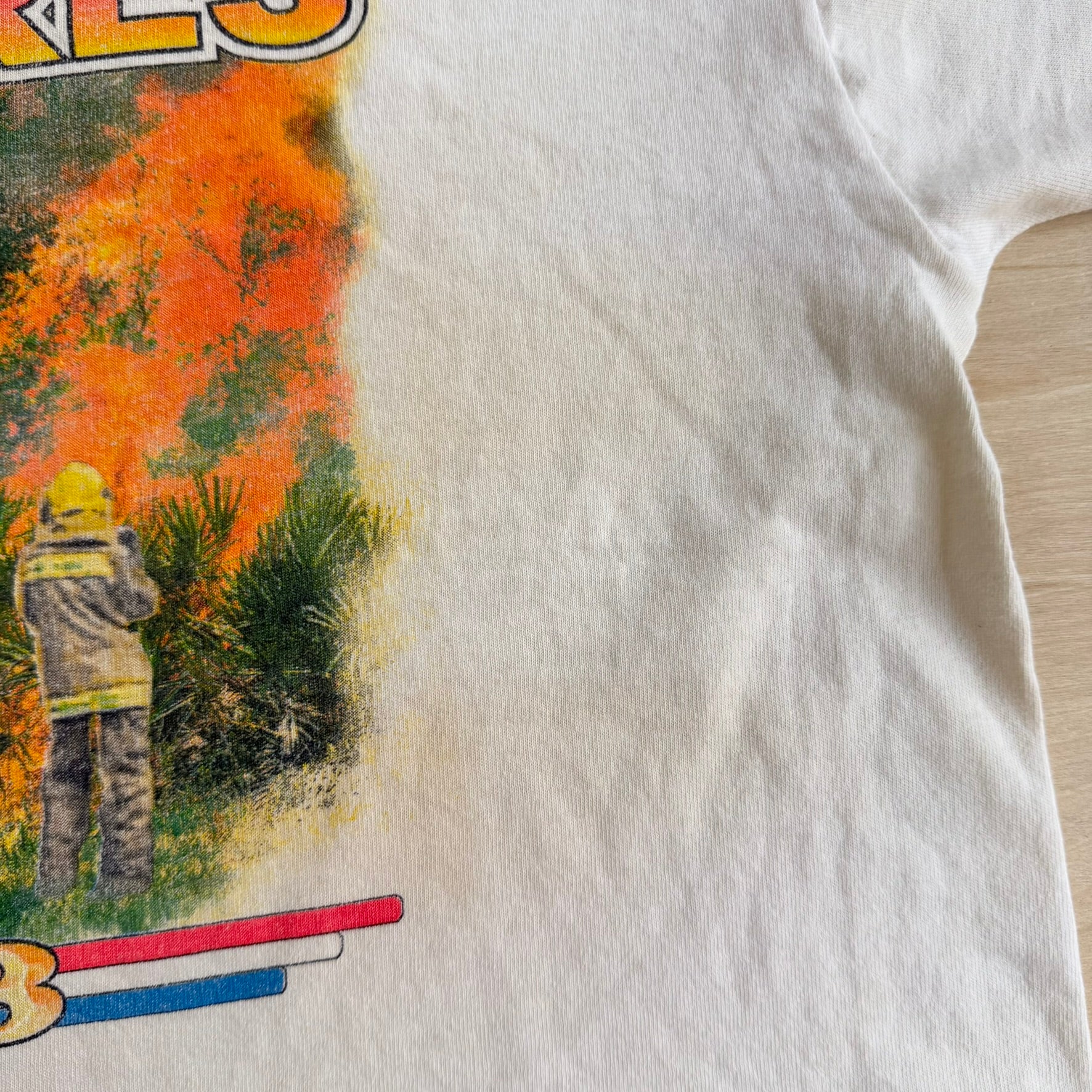 J- Vintage '03 I Survived The 2003 California Wildfires Graphic Tee - L