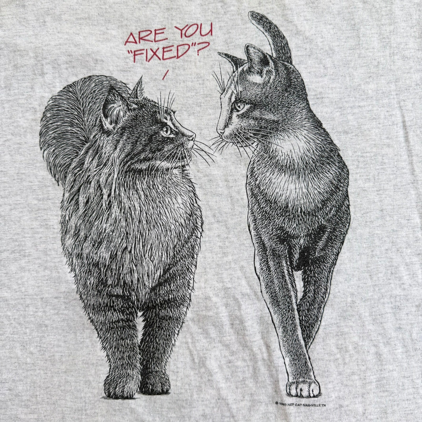 J- Vintage '93 Nashville HEP Cat Are You Fixed? Cat Graphic Made In USA Single Stitch Tee - L