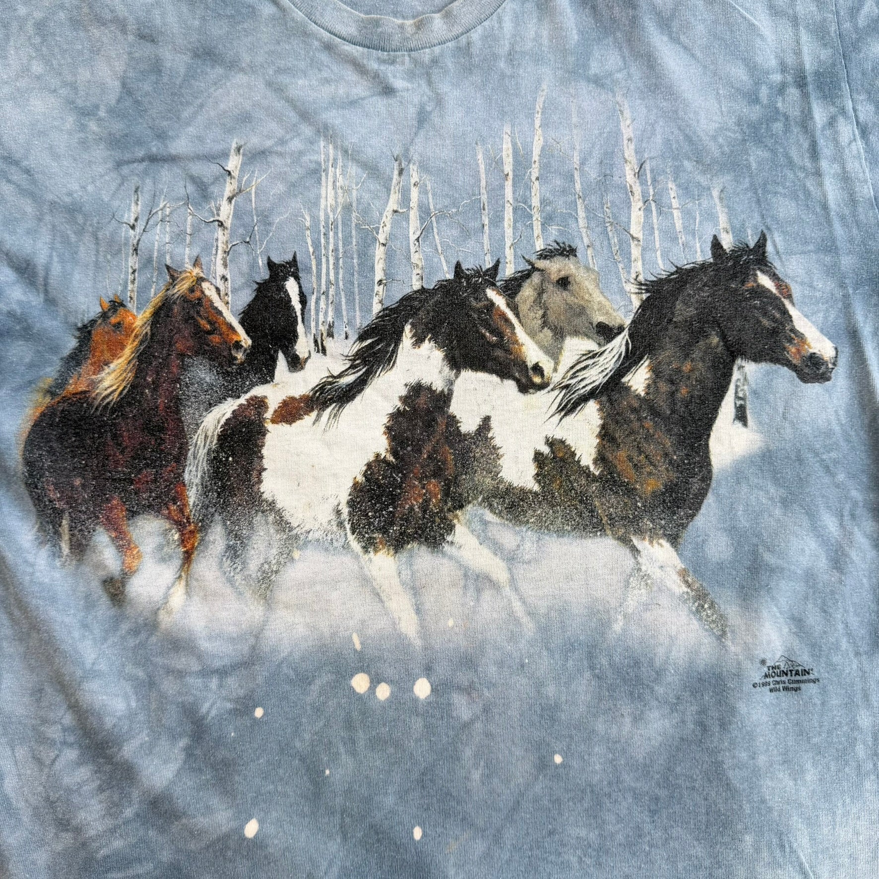 J- Vintage '99 The Mountain Horses In Forest Graphic Blue Acid Wash Tee - L