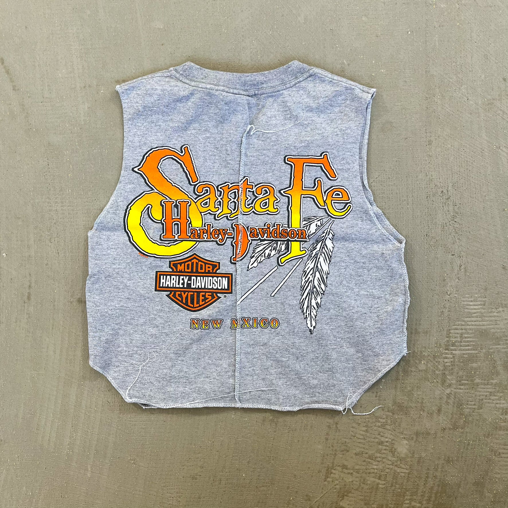 F- HOM Harley Davidson Santa Fe Reworked Dbl Stitch Crop Top
