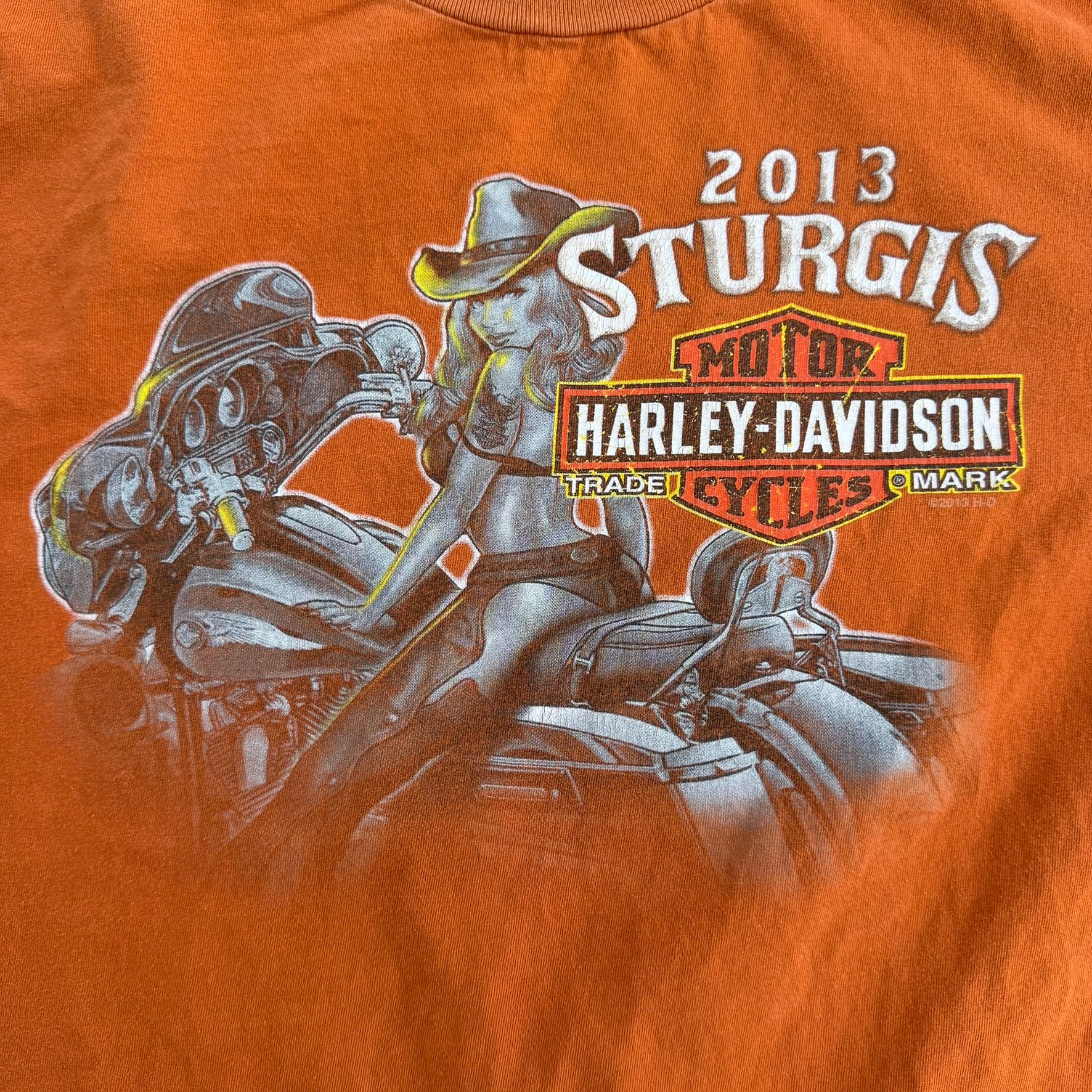 J- '13 Harley Davidson Sturgis Graphic Tee - XL
