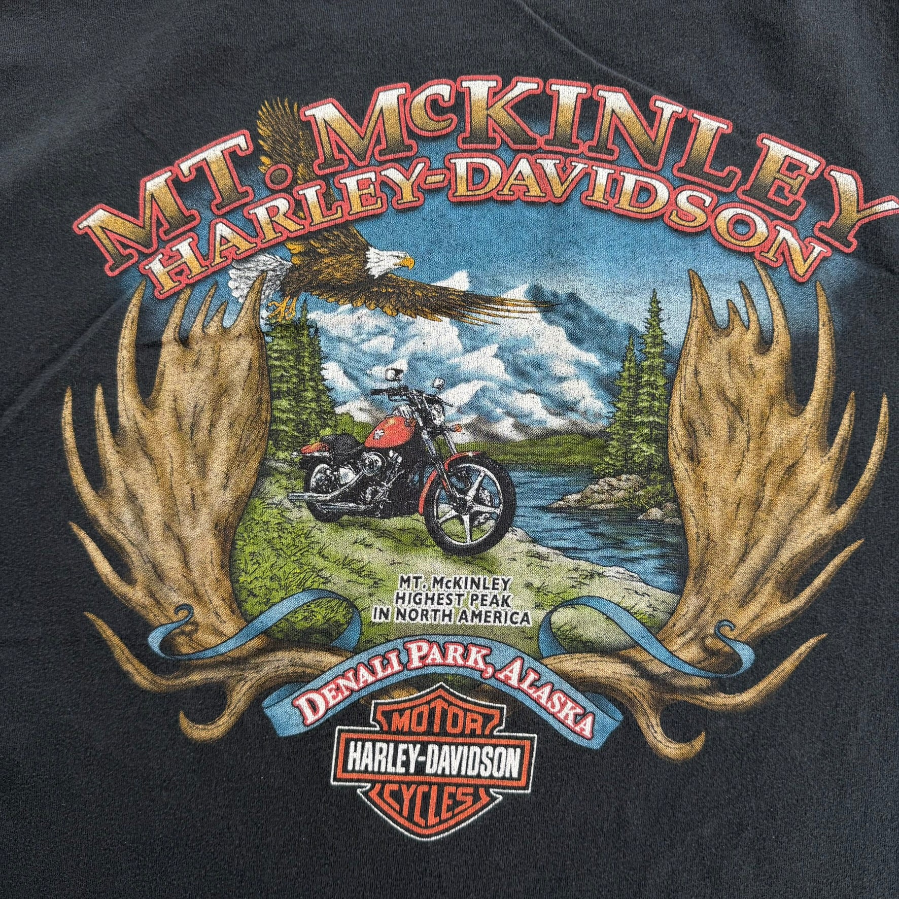 J- Vintage Harley Davidson Denali Park Alaska Graphic Tee - L