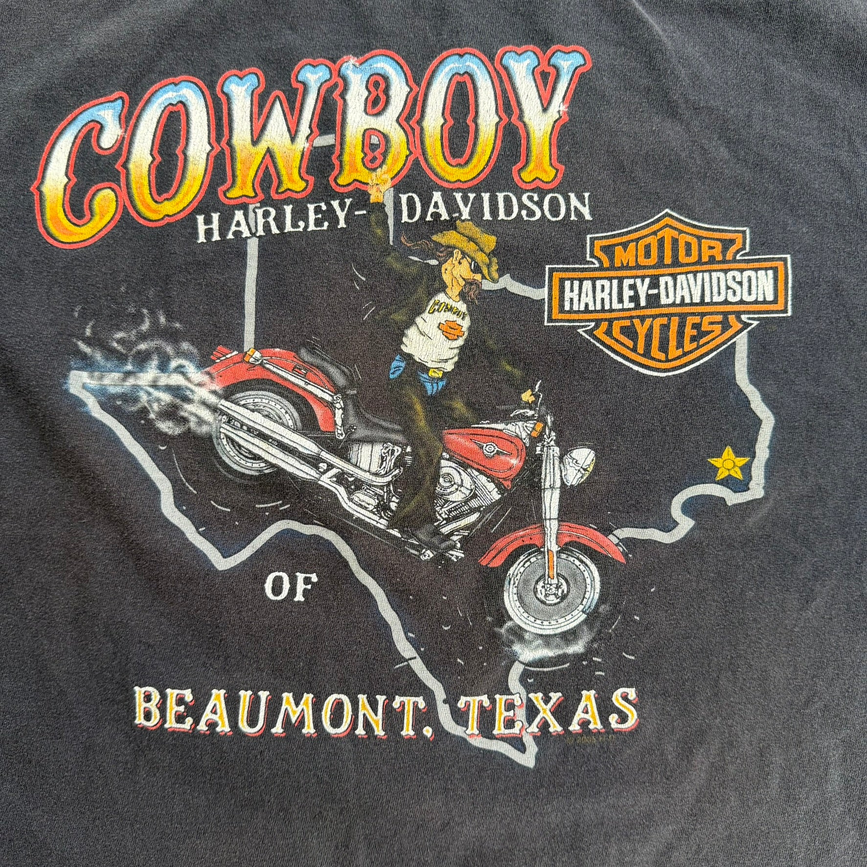 J- Vintage '05 Harley Davidson Cowboys Beaumont Texas Graphic Tee - 2XL
