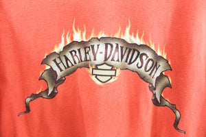 CC- Vintage Harley Davidson 2005 Illinois Tee