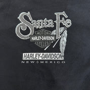 J- Vintage '03 Harley Davidson Santa Fe New Mexico Long Sleeve Tee - Women's XL