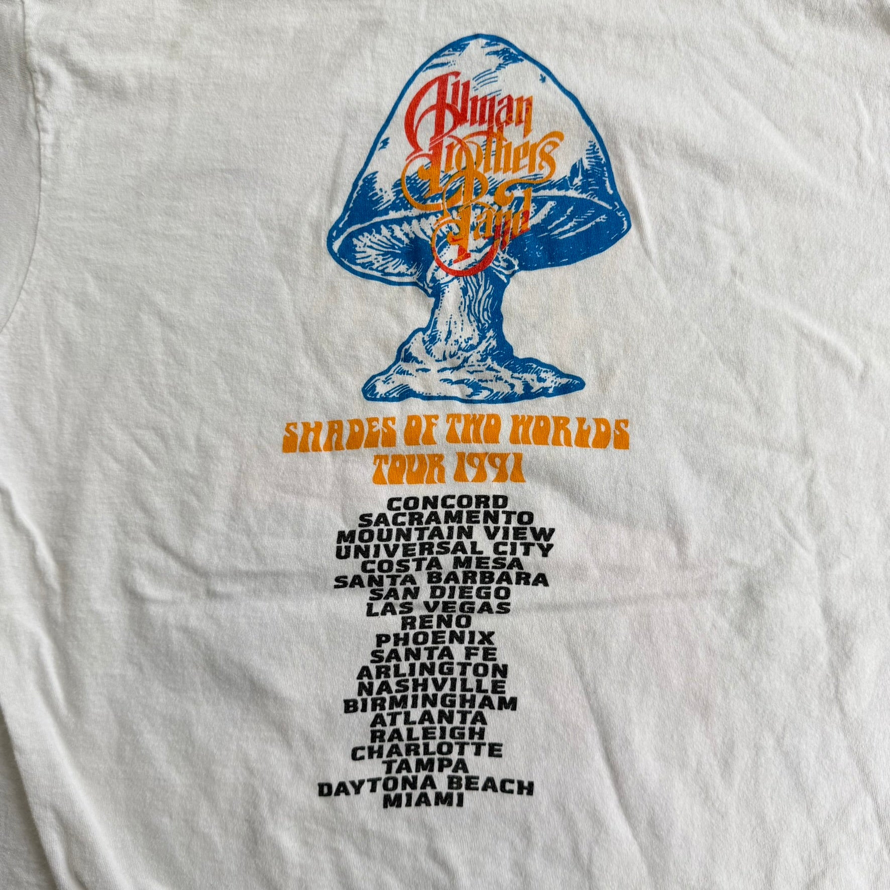 J- Vintage '91 Allman Brother's Band Shades Of The World Tour Made In USA Single Stitch Hanes Tag Tee - XL