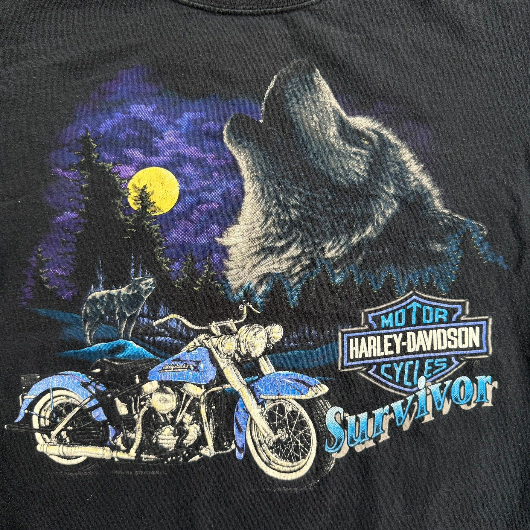 J- Vintage '93 Harley Davidson Daytona Beach Florida Survivor Made In USA Double Collar Tee - L