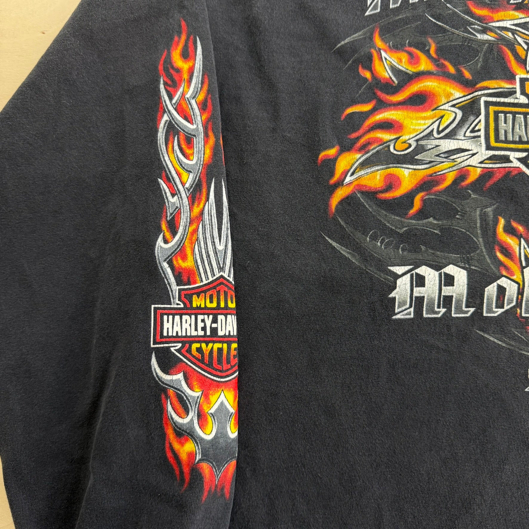J- Vintage '08 Harley Davidson Saskatoon Flame Graphic Long Sleeve Tee - XL